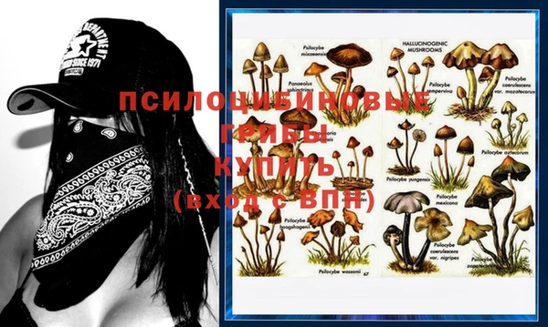 mdpv Гусев