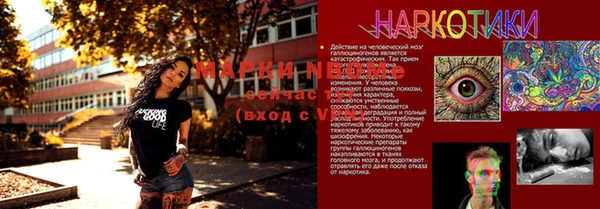 mdpv Гусев